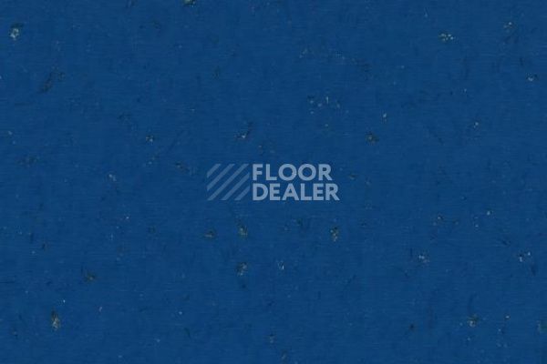 Виниловая плитка ПВХ FORBO Allura Colour/Colour Plus C68035-651035 marine blue фото 1 | FLOORDEALER
